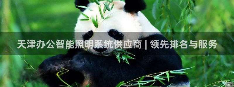 云顶集团公司简介