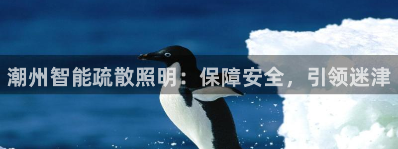 太原云顶国际老板