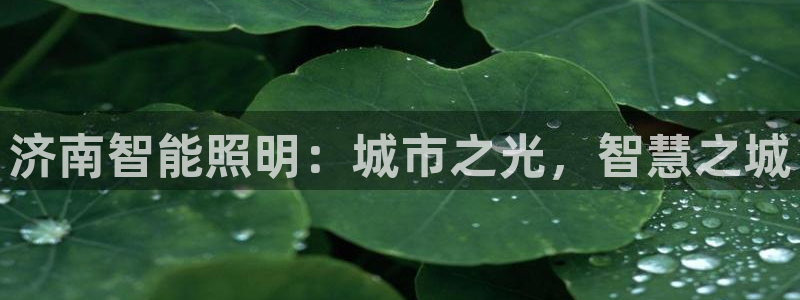 云顶国际平台违法吗?