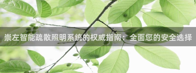 云顶集团3118官网