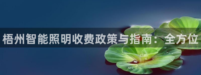 云顶国际高中学费多少钱