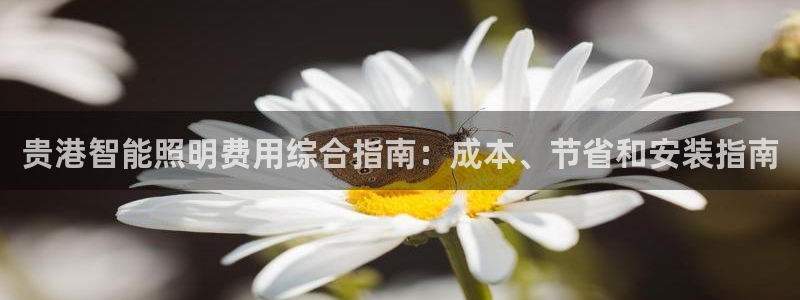 云顶集团网站多少钱一个