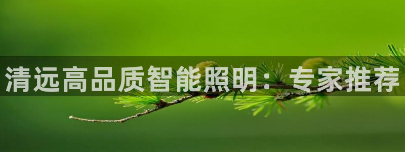 云顶国际APP