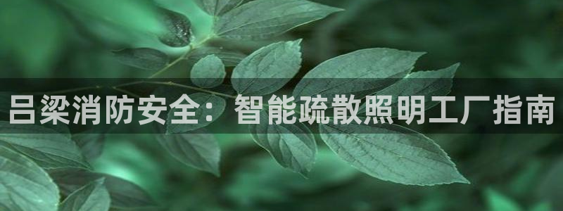 云顶国际电话号码