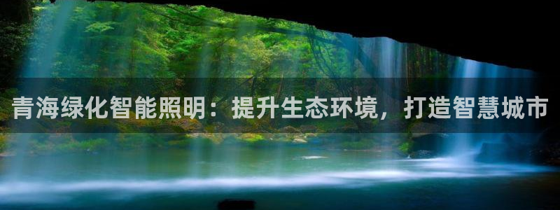 云顶国际旅行社官网