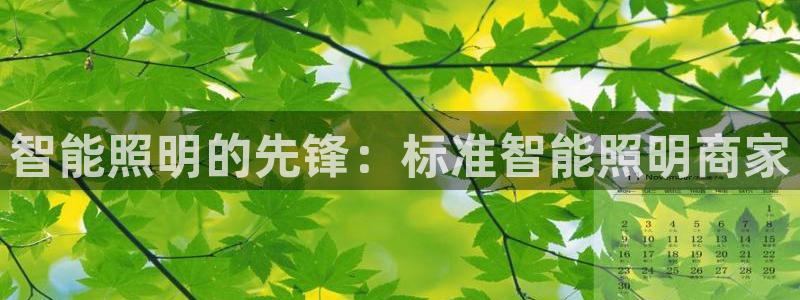 云顶国际中学