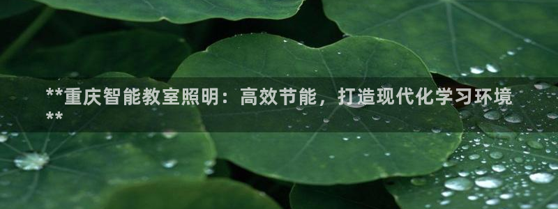 4188云顶集团下载