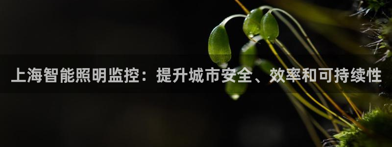 云顶国际商业广场怎么样