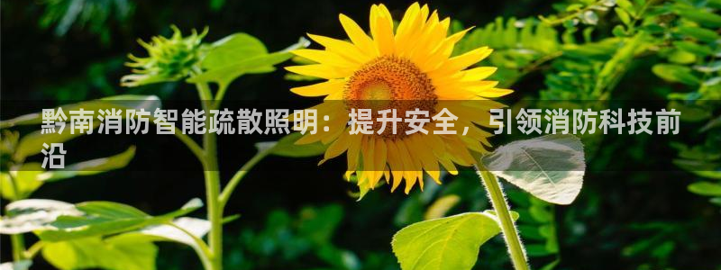 云顶国际大厦