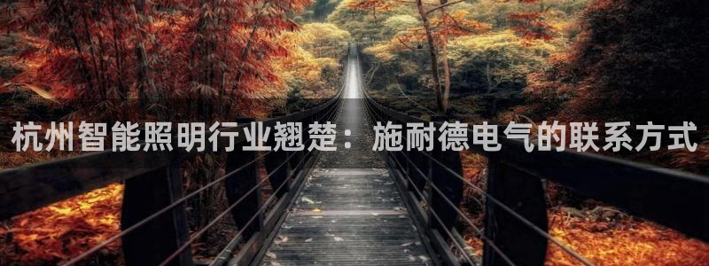 云顶集团董事长林东简历介绍