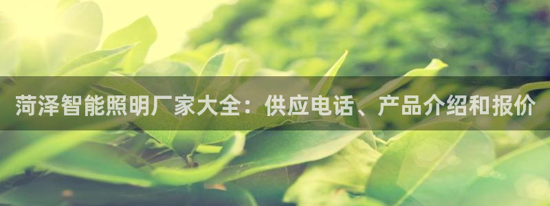云顶国际商业广场A座101电话