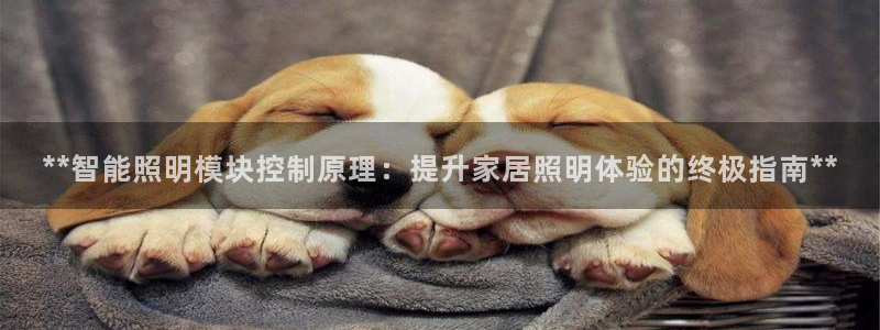 yoga云顶