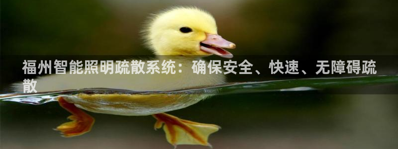 云顶国际下载安装