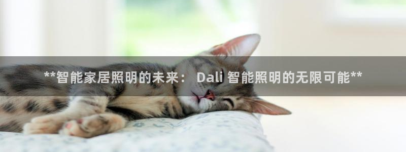 yd12300云顶线路