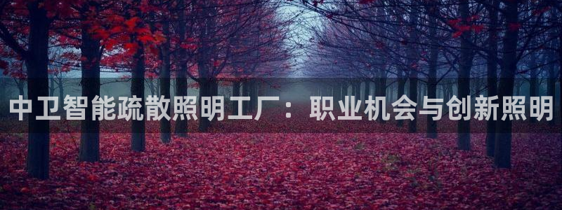 云顶国际app官方下载安装最新版