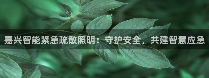 云顶国际钱取不出来了怎么办
