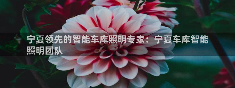 云顶国际游戏平台排行榜