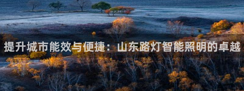 云顶国际服s9