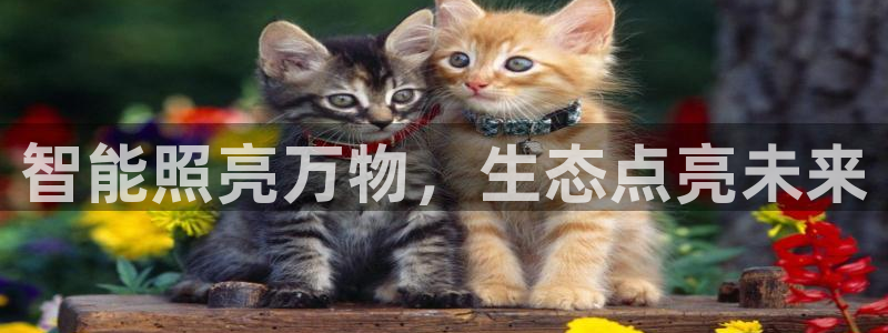 云顶国际属于哪个社区