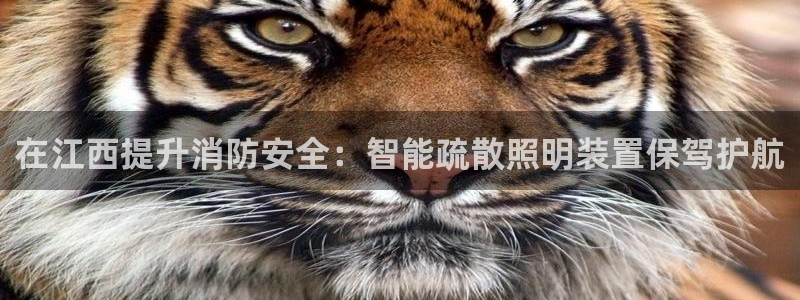 云顶国际游戏平台53m