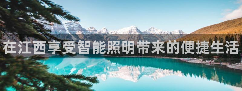 云顶国际App