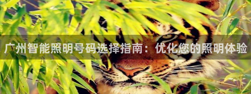 云顶集团简介资料