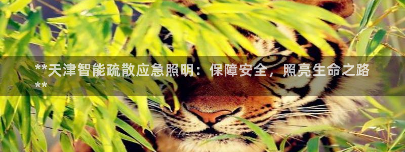 云顶国际集团