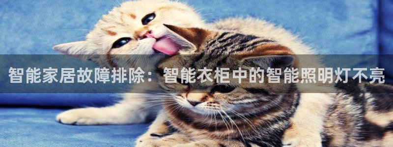 云顶集团下载app