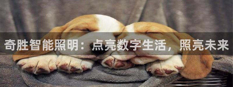 云顶国际商业广场 停车