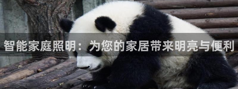 云顶国际cq9
