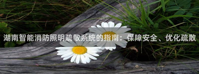 云顶国际电子游戏官网