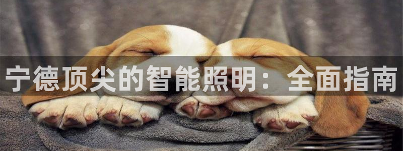 云顶国际林梧桐