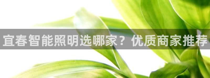 云顶国际服什么时候更新s9.5