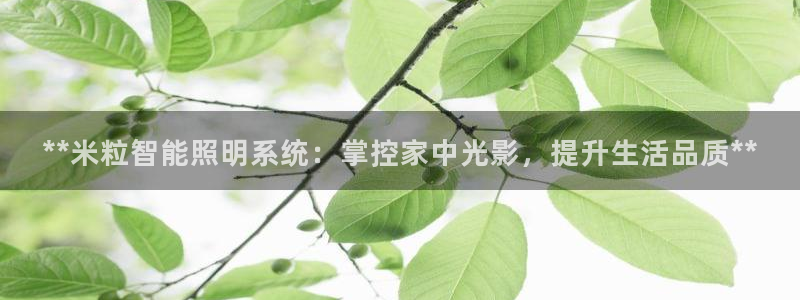 云顶国际旅行社电话