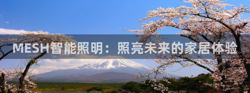 云顶国际app下载唯一平台