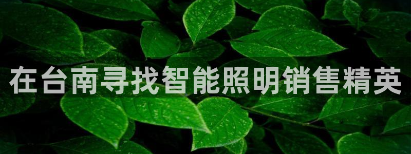 云顶国际酒店老板简介