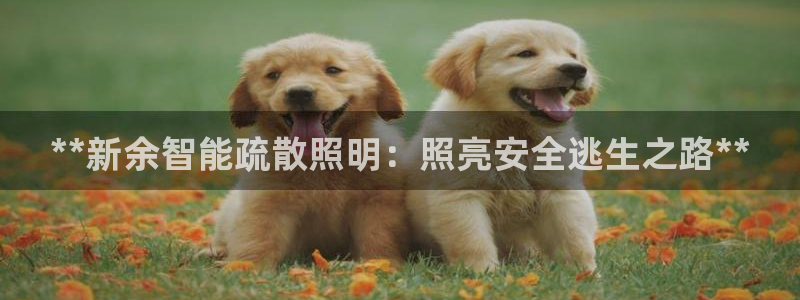 云顶国际服怎么选服务器