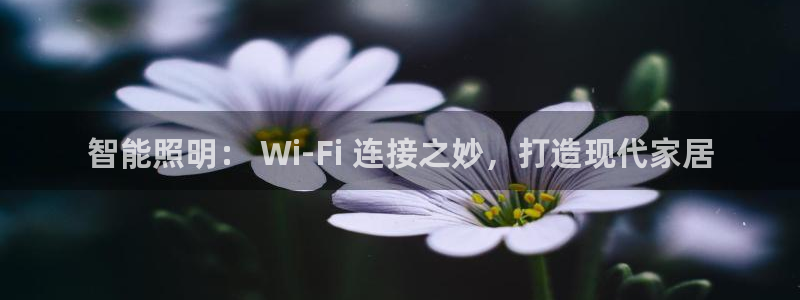 云顶zhi