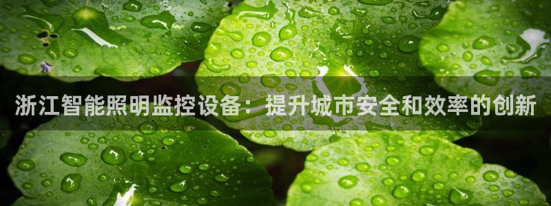 云顶集团app免费下载安装