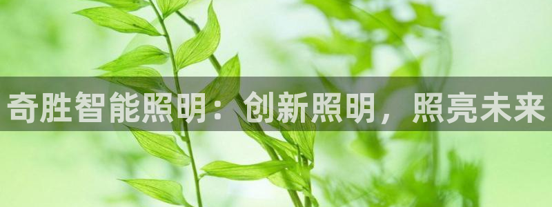 云顶国际ktv会所怎么样