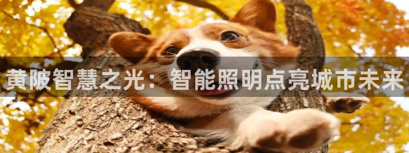 云顶集团3118acm官网：黄陂智慧之光
