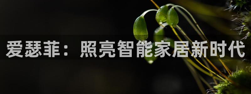 云顶国际官方网页